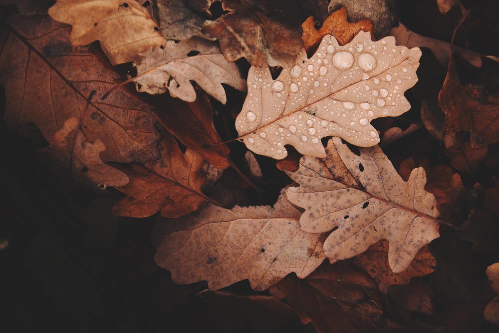 Photo by Daniel Frank from Pexels